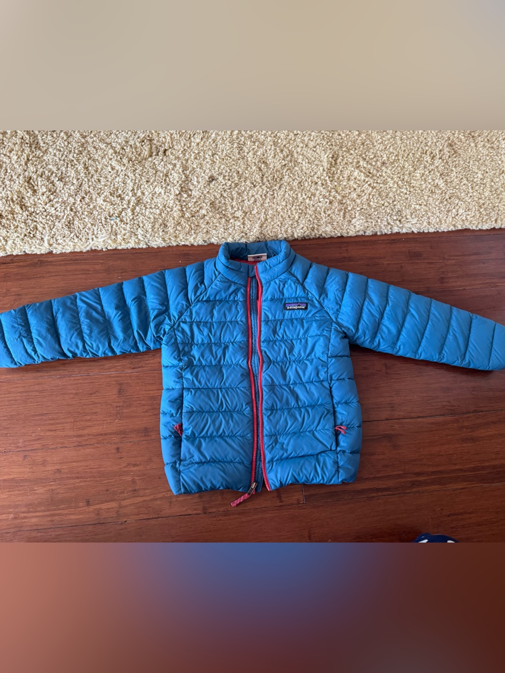 Patagonia Jacket 5t
